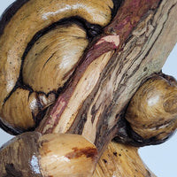 Busy body - art by artist from Canada Sandra Veillette - artterra online art gallery - Buy art of Canada Online - Free Shipping