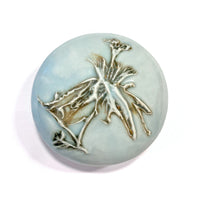 Passiflora (Passion Flower)