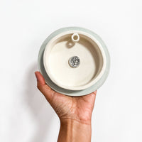 Passiflora (Passion Flower)