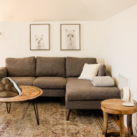 Transforming Frog Child