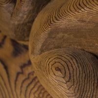 Transforming Frog Child