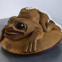 Transforming Frog Child