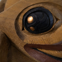 Transforming Frog Child