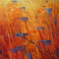 Points du Jour / Climber of the day