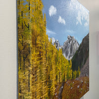 Wandering With Winston