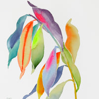 Rainbowland Bruguiera II - art by artist from Canada Xiao Wen Xu - artterra online art gallery - Buy art of Canada Online - Free Shipping