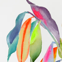 Rainbowland Bruguiera II - art by artist from Canada Xiao Wen Xu - artterra online art gallery - Buy art of Canada Online - Free Shipping