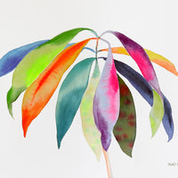 Rainbowland Bruguiera - art by artist from Canada Xiao Wen Xu - artterra online art gallery - Buy art of Canada Online - Free Shipping