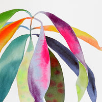 Rainbowland Bruguiera - art by artist from Canada Xiao Wen Xu - artterra online art gallery - Buy art of Canada Online - Free Shipping