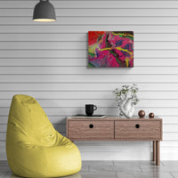 Carnival: Explosion of Colour