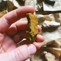 The Self - art by artist from Canada Danielle Petti - artterra online art gallery - Buy art of Canada Online - We ship to USA and Canada