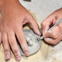 Drosera (Sundew) - art by artist from Canada Gina Jacklin - artterra online art gallery - Buy art of Canada Online - We ship to USA and Canada