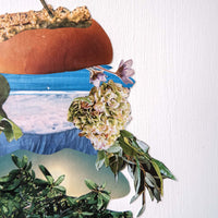 Botanical Burger - art by artist from Canada Marissa Creative Arts - artterra online art gallery - Buy art of Canada Online - We ship to USA and Canada