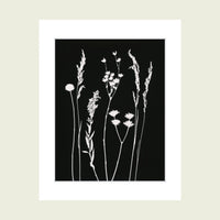 Original Photogram / Wildflowers 01 - art by artist from Canada Florigin - artterra online art gallery - Buy art of Canada Online - We ship to USA and Canada