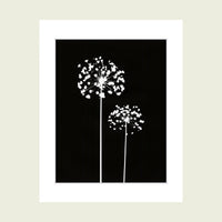 Original Photogram / Seedpods - art by artist from Canada Florigin - artterra online art gallery - Buy art of Canada Online - We ship to USA and Canada