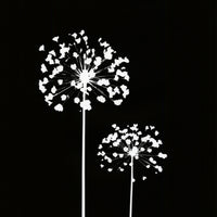 Original Photogram / Seedpods - art by artist from Canada Florigin - artterra online art gallery - Buy art of Canada Online - We ship to USA and Canada