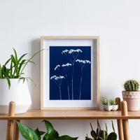 Original Cyanotype / Four - art by artist from Canada Florigin - artterra online art gallery - Buy art of Canada Online - We ship to USA and Canada