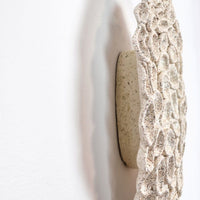 Drosera (Sundew) - art by artist from Canada Gina Jacklin - artterra online art gallery - Buy art of Canada Online - We ship to USA and Canada