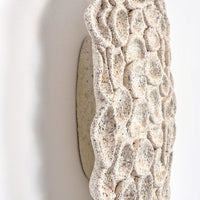 Drosera (Sundew) - art by artist from Canada Gina Jacklin - artterra online art gallery - Buy art of Canada Online - We ship to USA and Canada