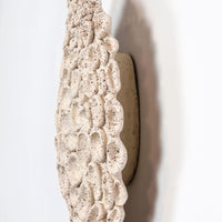 Drosera (Sundew) - art by artist from Canada Gina Jacklin - artterra online art gallery - Buy art of Canada Online - We ship to USA and Canada