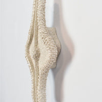 Navicula Diatom - art by artist from Canada Gina Jacklin - artterra online art gallery - Buy art of Canada Online - We ship to USA and Canada