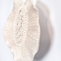 Nemesia - art by artist from Canada Gina Jacklin - artterra online art gallery - Buy art of Canada Online - We ship to USA and Canada