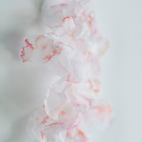 Clouds II - art by artist from Canada Maria Shanina - artterra online art gallery - Buy art of Canada Online - We ship to USA and Canada