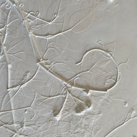 Jardin d’agrément - art by artist from Canada Melissa Mulder - artterra online art gallery - Buy art of Canada Online - We ship to USA and Canada