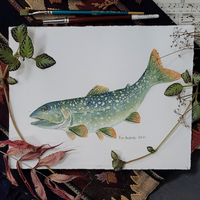 Lake Trout - art by artist from Canada Pamela Paulenko - artterra online art gallery - Buy art of Canada Online - We ship to USA and Canada