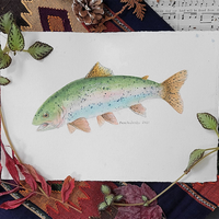 Rainbow Trout - art by artist from Canada Pamela Paulenko - artterra online art gallery - Buy art of Canada Online - We ship to USA and Canada