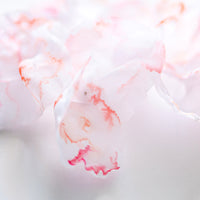 Clouds II - art by artist from Canada Maria Shanina - artterra online art gallery - Buy art of Canada Online - We ship to USA and Canada