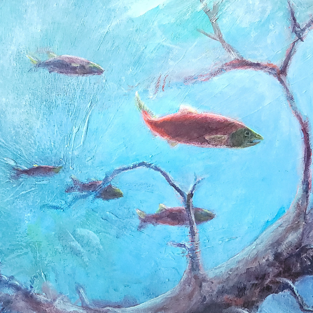 Salmon Dream of Sunken Trees