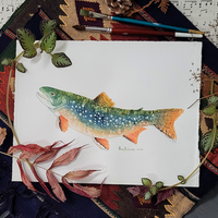 Brook Trout - art by artist from Canada Pamela Paulenko - artterra online art gallery - Buy art of Canada Online - We ship to USA and Canada