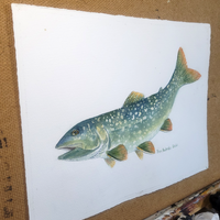 Lake Trout - art by artist from Canada Pamela Paulenko - artterra online art gallery - Buy art of Canada Online - We ship to USA and Canada